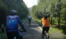 缦木的秋_2000字