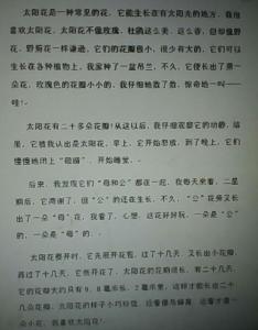 用阳光的构图：遇到太阳_700字