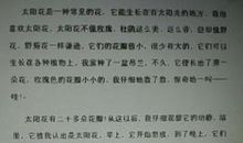 关于阳光的作文：遇到阳光_700字