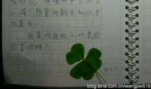 快乐就在心灵处_700字