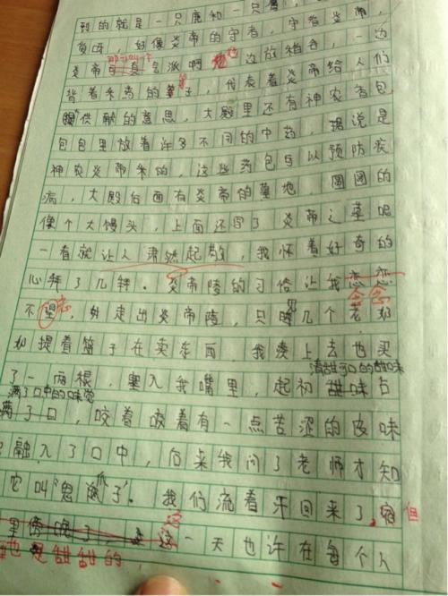 记事本：值得痛苦_800字