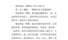 建国60周年作文：发展中的职工医院_800字