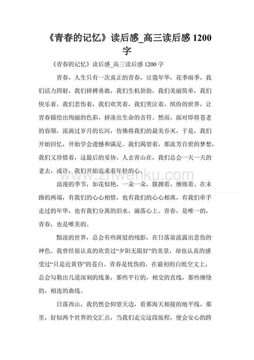 内存_1200字