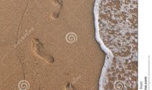 父亲的脚印_900字