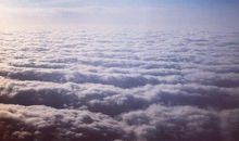 飞在天空流浪的鱼_800字