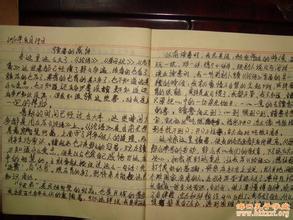 留言：父亲爱深_800字