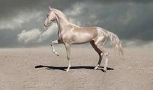 伸出双手 ，世界更美_650字