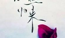 无可奈何花落去_250字