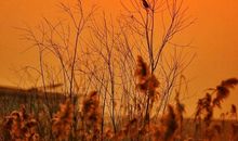 雨天•晴天_900字