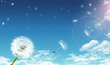 让童话的翅膀带梦想飞翔_1500字