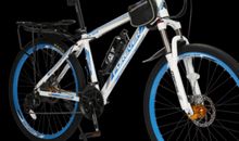 单车后的梦_750字