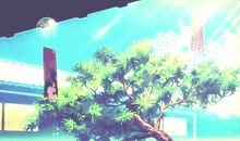 关于某个夏天_900字