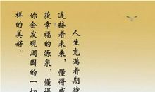 梦飞的季节_450字