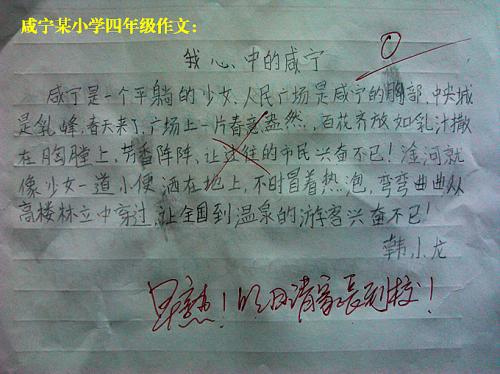 感受到爱的温暖_400字