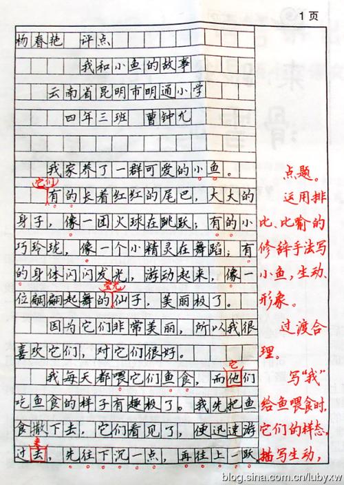令人难忘的生日_500字