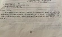 记事作文：与你共创辉煌_1200字