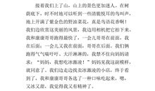 关于开心的作文：开心的一天_900字