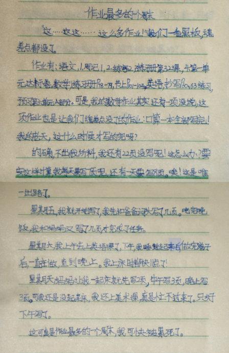 关于幸福的作文：快乐的一年 -  300个字