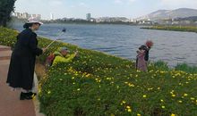 开心一日游_900字