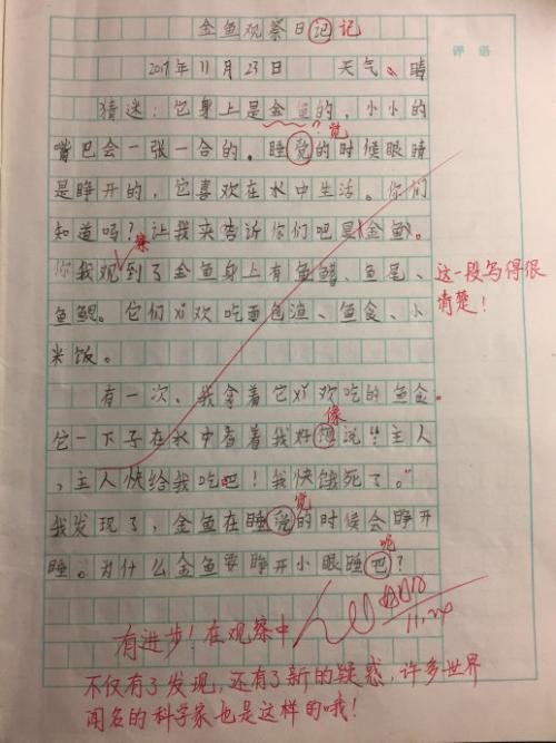 观察日记 - 欢迎来到春天