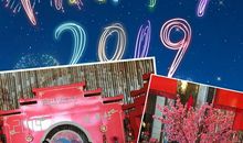 开开心心过大年_550字