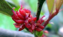 感想——杂乱无章