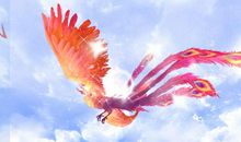 灵魂在忧伤中重生，做展翅的火凤凰_800字