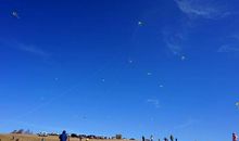 就这么游来游去_550字