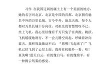 回忆母亲_1200字