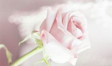 让我们自由地……_700字