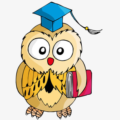 可爱的鹦鹉_1500字