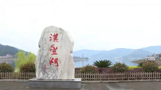 我喜欢电视节目_450字