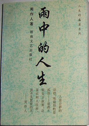 在雨中_200字