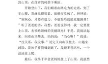 关于开心的作文：新年里的开心事_500字