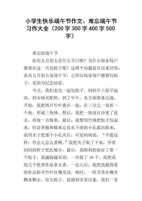关于快乐的作文：龙舟节快乐_800字