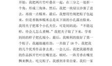 关于开心的作文：端午节真开心_800字