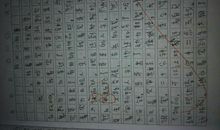 关于开心的作文：想起这件事，我就十分开心_550字