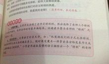 关于开心的作文：玩儿的真开心_550字