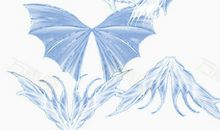 天使的另一只翅膀_800字