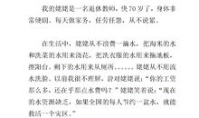 寄我的外婆_400字