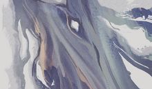 青春在身后划过——读郭敬明《悲伤逆流成河》有感_350字