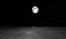 夜深了，我的窗台还亮着_2000字