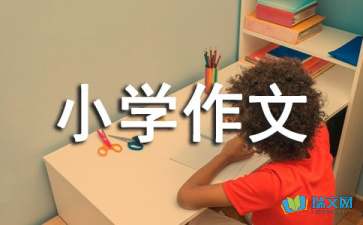 夏日生活记忆_900字