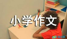 夏日的生命记忆_900字