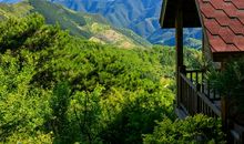 写景作文：山乡，六月十五夜_500字