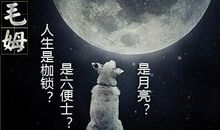 城市漫步_1200字