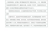 快乐的足球赛_700字