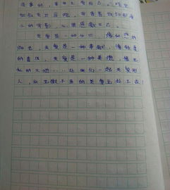 写作组成：南飞扬_600字