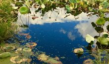 心灵的后花园_650字