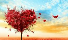 做人，从心做起_1200字